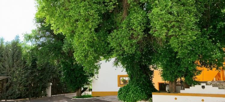 农家乐科尔蒂霍拉斯韦尔塔斯(Casa Rural Cortijo Las Huertas)图片