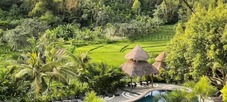 Damires Hills Farm and Spa Resort图片