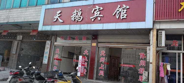 浦江天鹅宾馆图片