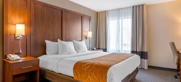南港舒适套房酒店-I-96附近(Comfort Suites South Haven Near I-96)图片