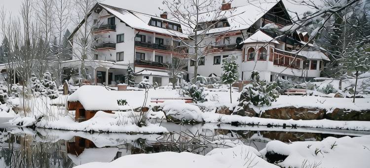 沃尔德布里克尼比斯酒店(Hotel Waldblick Kniebis)图片