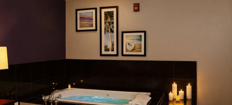 代托纳奥兰治港拉昆塔温德姆套房酒店(La Quinta Inn & Suites by Wyndham Port Orange / Daytona)图片