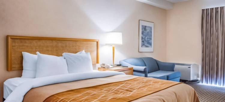 罗德威酒店(Rodeway Inn)图片