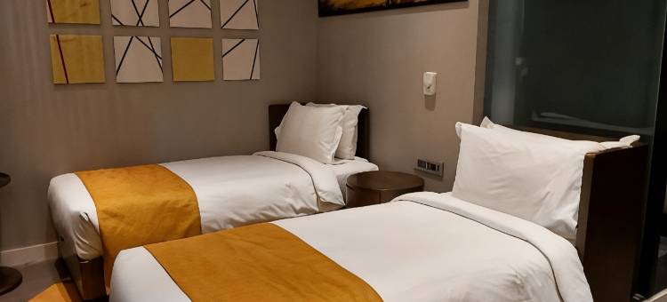 新德里国际机场T3航站楼智选假日酒店(Holiday Inn Express NEW DELHI INT'L AIRPORT T3 by IHG)图片