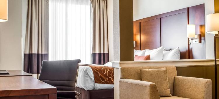 伍德兰德舒适套房酒店- 萨克拉门托机场(Comfort Suites Woodland - Sacramento Airport)图片