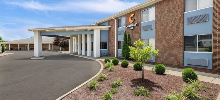 芒特弗农舒适酒店(Comfort Inn)图片