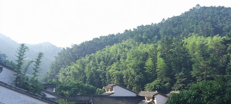 天台宾馆图片