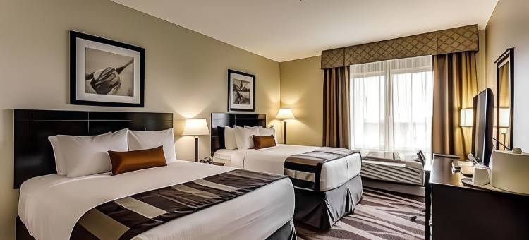 革命酒店(Revolution Hotel)图片