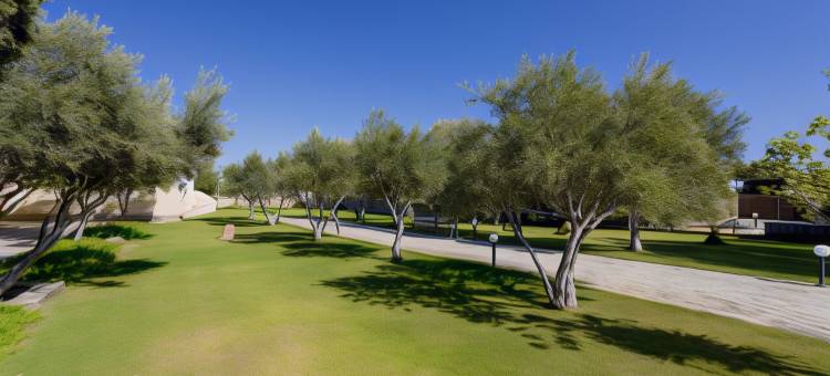 克里特努莫耶拉佩特拉海滩度假村，希尔顿格芮精选酒店(Numo Ierapetra Beach Resort Crete Curio Collection by Hilton)图片