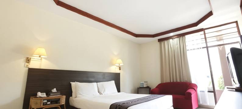 图拉加密斯里纳酒店(Toraja Misiliana Hotel)图片