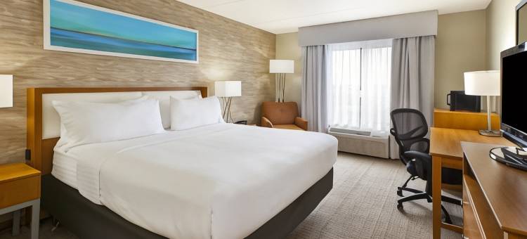 洲际酒店集团博林布鲁克假日酒店及套房(Holiday Inn & Suites Bolingbrook)图片