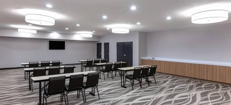 克利奇站麦客达温德姆套房酒店(Microtel Inn & Suites by Wyndham College Station)图片