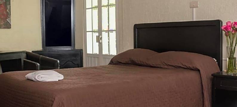 帝国酒店(Hotel Imperial)图片