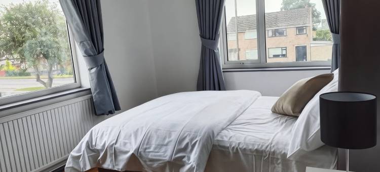 银城酒店(Silver City Hotel)图片