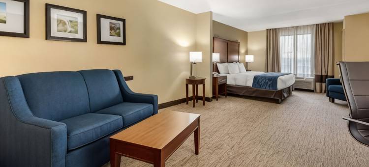 代顿赖特帕特森舒适酒店(Comfort Suites Dayton-Wright Patterson)图片