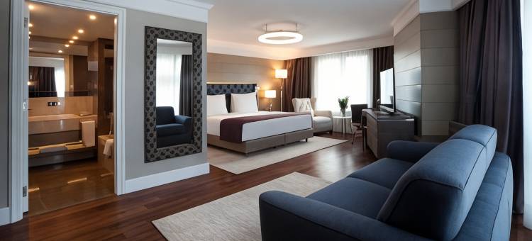 伊斯坦布尔希什利丽笙酒店(Radisson Blu Hotel, Istanbul Sisli)图片