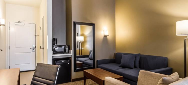 伍德兰德舒适套房酒店- 萨克拉门托机场(Comfort Suites Woodland - Sacramento Airport)图片