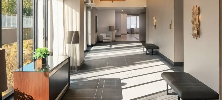 明尼阿波利斯布卢明顿希尔顿酒店(Hilton Minneapolis/Bloomington)图片