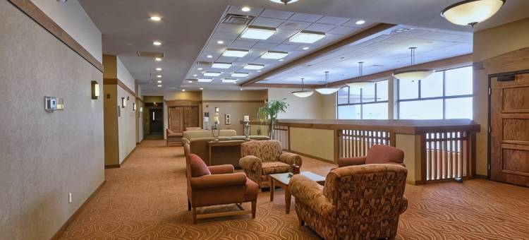东兰辛奥克莫斯舒适酒店(Comfort Inn Okemos - East Lansing)图片