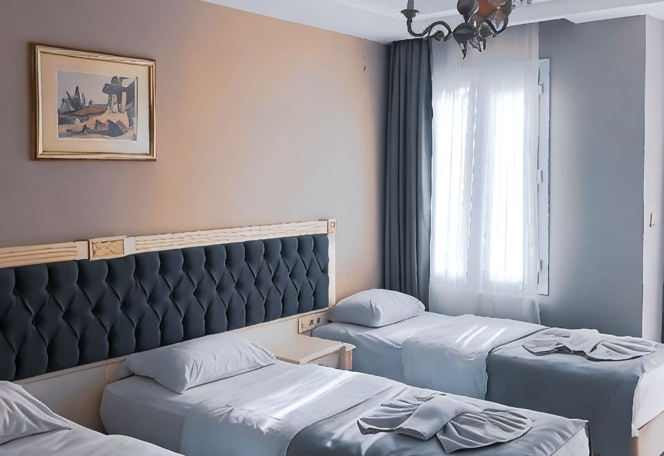 Albatros Premier Hotel - Special Class Hotel Overview