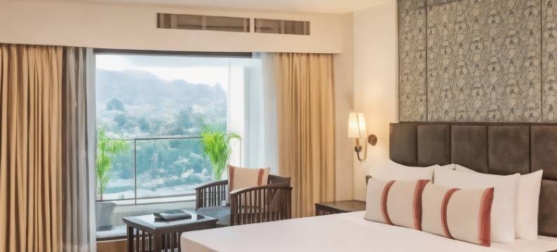 瑞诗凯诗柠檬树高级酒店(Lemon Tree Premier, Rishikesh)图片