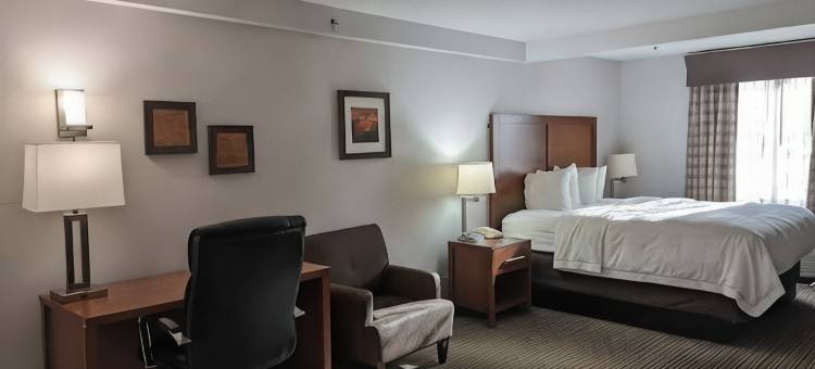 巴特尔克里克品质酒店(Country Inn & Suites by Radisson, Battle Creek, MI)图片