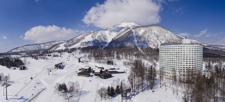绿叶新雪谷精选酒店 希尔顿逸林酒店精选(The Green Leaf Niseko Village, Tapestry Collection by Hilton)图片