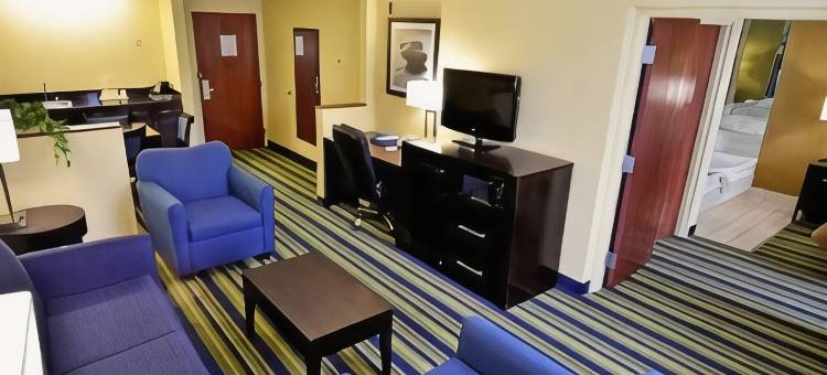 兰坦纳西棕榈滩舒适套房酒店(Comfort Inn & Suites Lantana - West Palm Beach South)图片