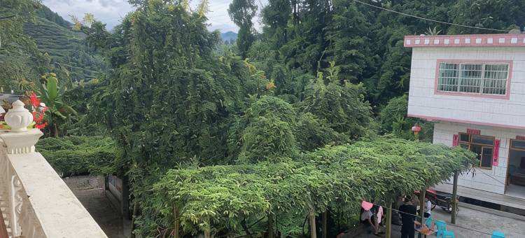 开阳芝进家农家乐图片