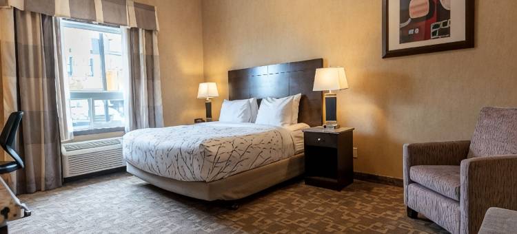 南埃德蒙顿贝斯特韦斯特优质套房酒店(Best Western Plus South Edmonton Inn  Suites)图片