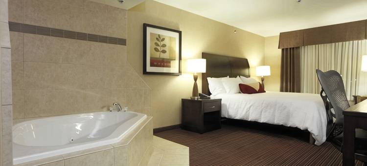 克洛维斯希尔顿花园酒店(Hilton Garden Inn Clovis)图片