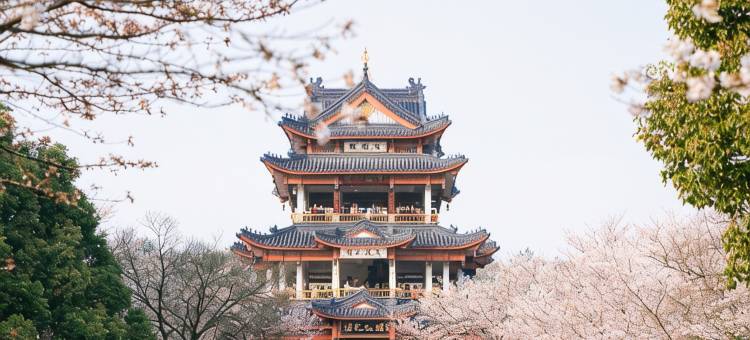 汉庭酒店(无锡滨湖万象汇体育中心地铁站店)图片