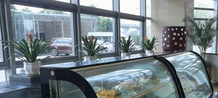 重庆维景国际大酒店图片