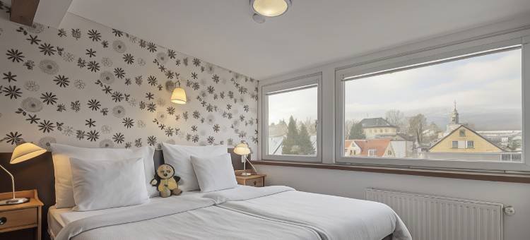 皮特洛恩健康旅游酒店(Pytloun Wellness Travel Hotel)图片