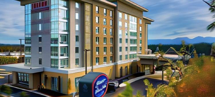 阿什维尔比特摩尔区希尔顿欢朋套房酒店(Hampton Inn & Suites Asheville Biltmore Area)图片