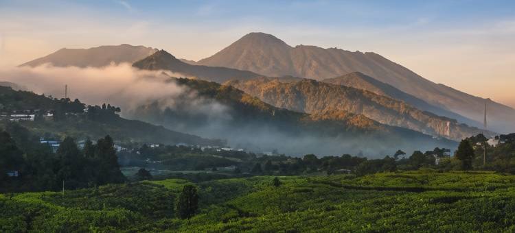 阿斯亚娜仙都茂物酒店(Asyana Sentul Bogor)图片