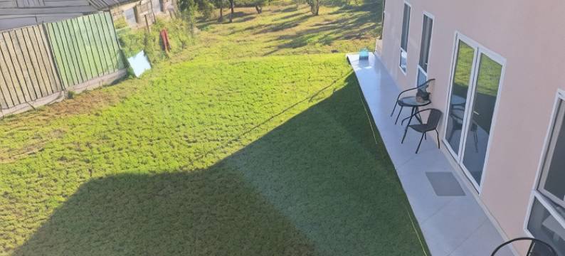 Gnomes之家(Home of Gnomes)图片