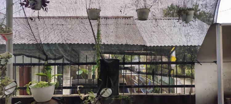 D-Rima Homestay Ruteng图片