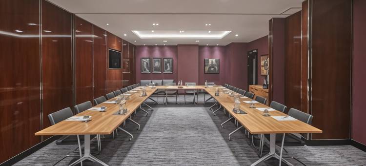 伦敦亚伯特堤岸凯悦酒店(Hyatt Regency London Albert Embankment)图片