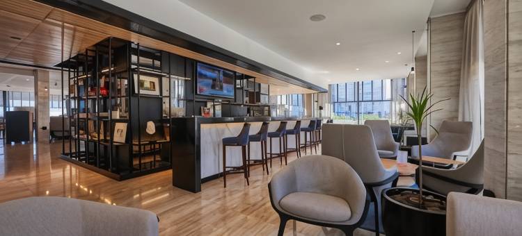 圣马丁比尼亚德尔马铂尔曼酒店(Pullman Vina del Mar San Martín)图片