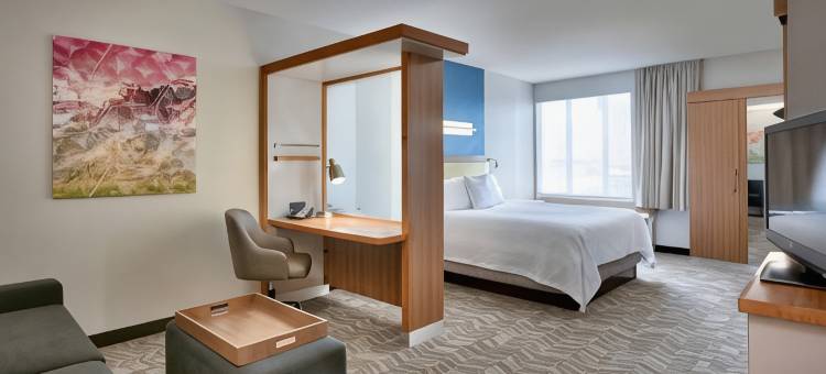 盐湖城德雷珀万豪SpringHill酒店(SpringHill Suites Salt Lake City Draper)图片