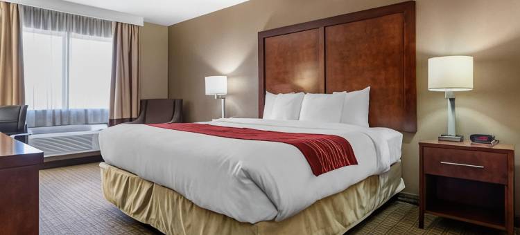 利兹I-20舒适套房酒店(Comfort Inn & Suites Leeds I-20)图片