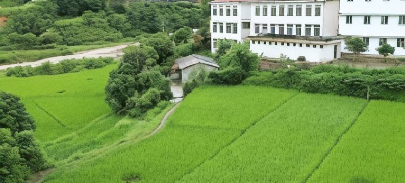 添安酒店(Hotel Thien An)图片