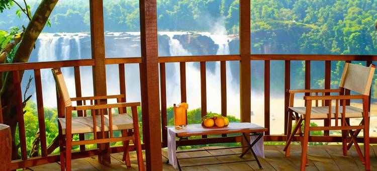 热带雨林度假村(Rainforest)图片