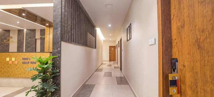 我的空间卡迪森(MySpace Kadison)图片