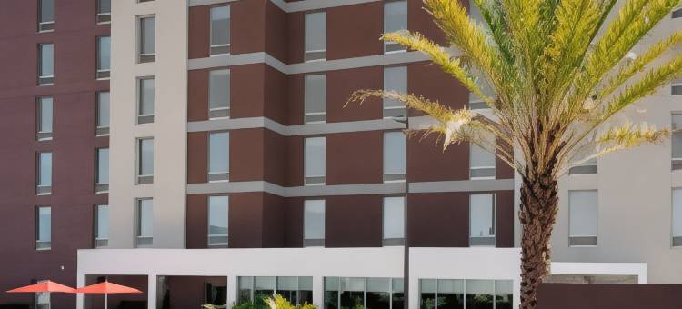 奥兰多环球影城附近希尔顿惠庭酒店(Home2 Suites by Hilton Orlando Near Universal)图片