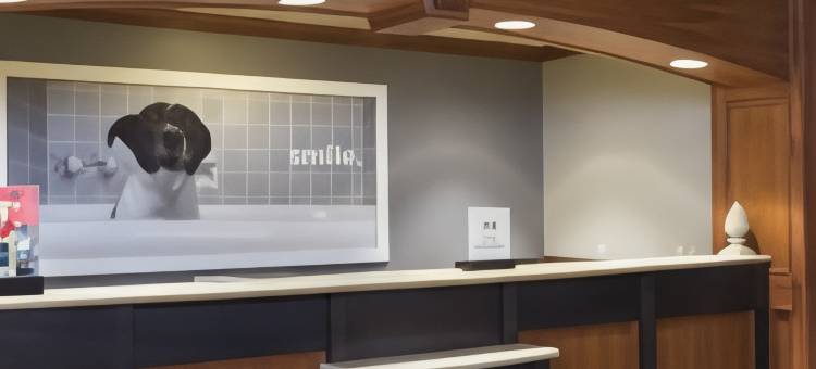 兰辛东欢朋酒店及套房(Hampton Inn & Suites East Lansing/Okemos)图片