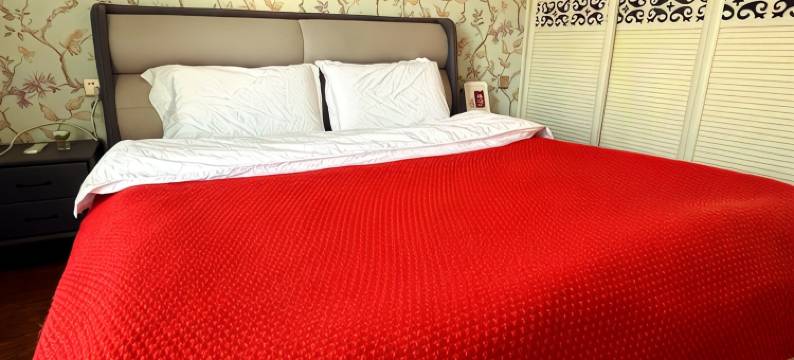 花开一夏公寓(深圳路1号分店)图片