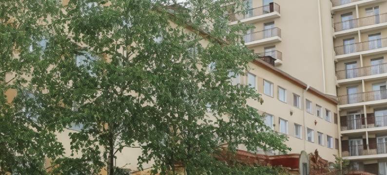 皇冠酒店(Krona Hotel (Former Versailles))图片