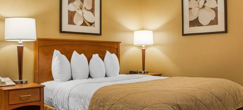 河滨凯隆套房酒店(Clarion Hotel & Suites Riverfront)图片